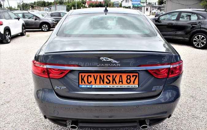 Jaguar XF cena 117800 przebieg: 22000, rok produkcji 2018 z Nowy Targ małe 529